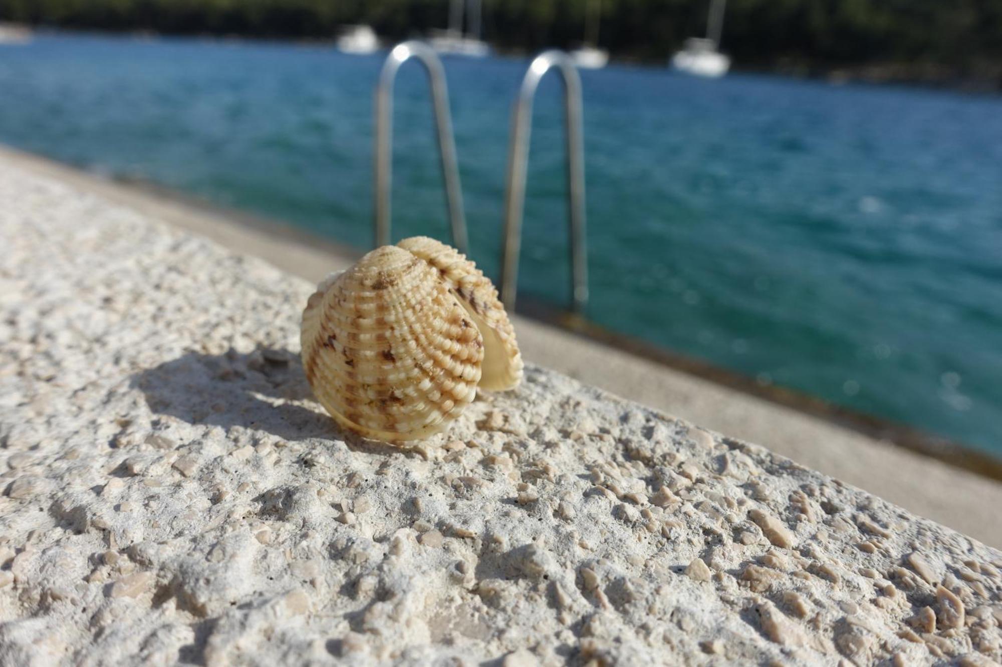 Apartment Tonka Vodice Luaran gambar